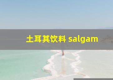 土耳其饮料 salgam